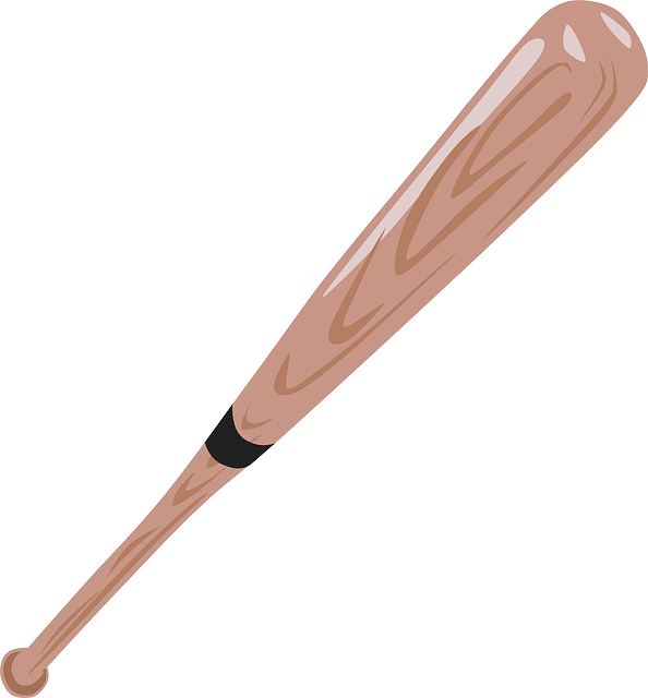 image of baseball bat