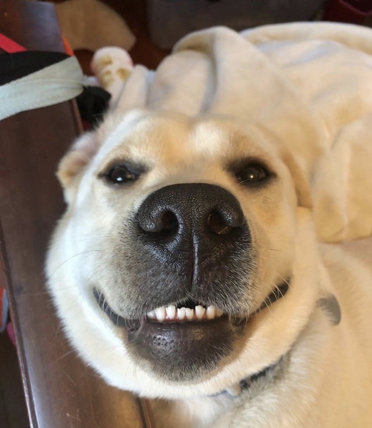 This is cooper smiling