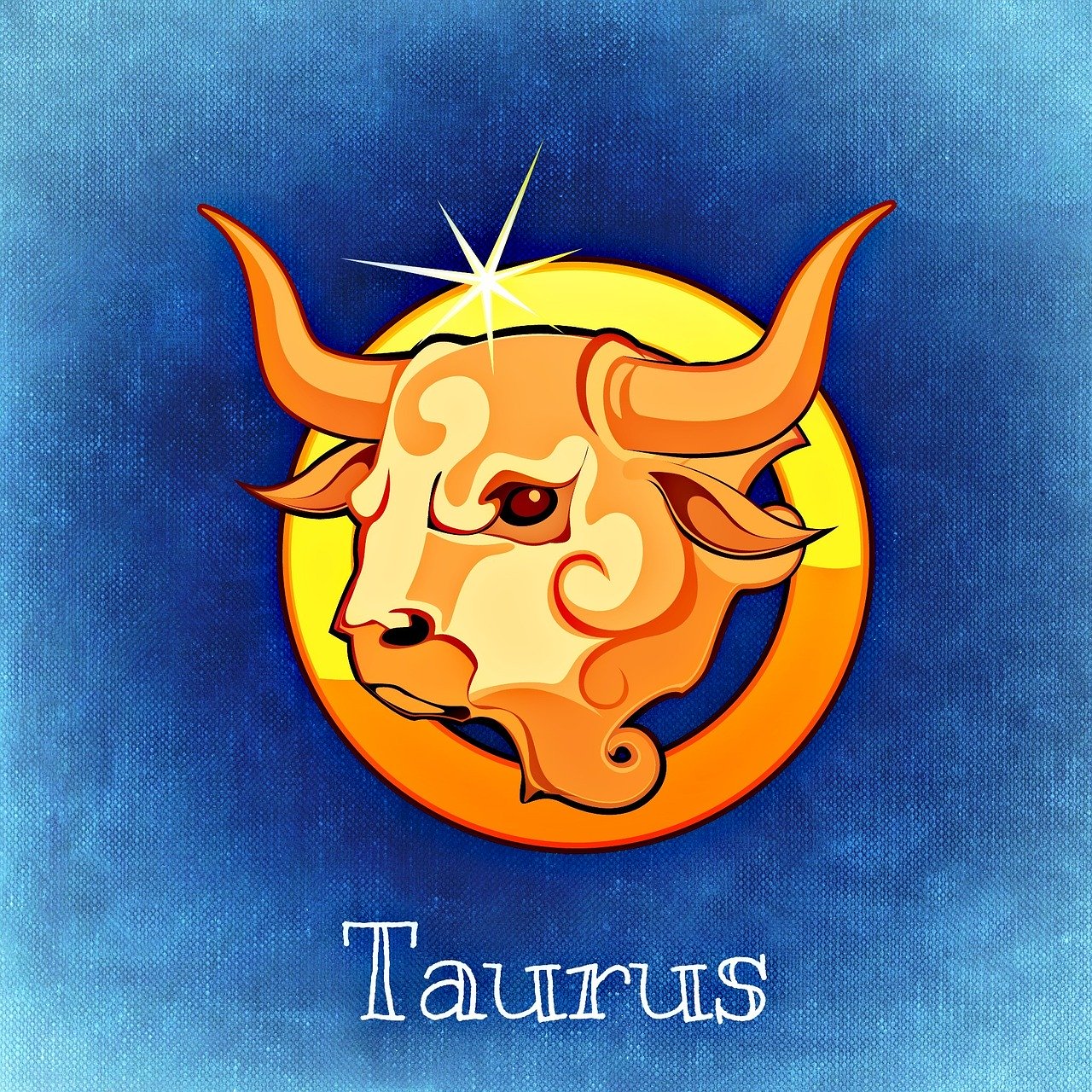 image of taurus