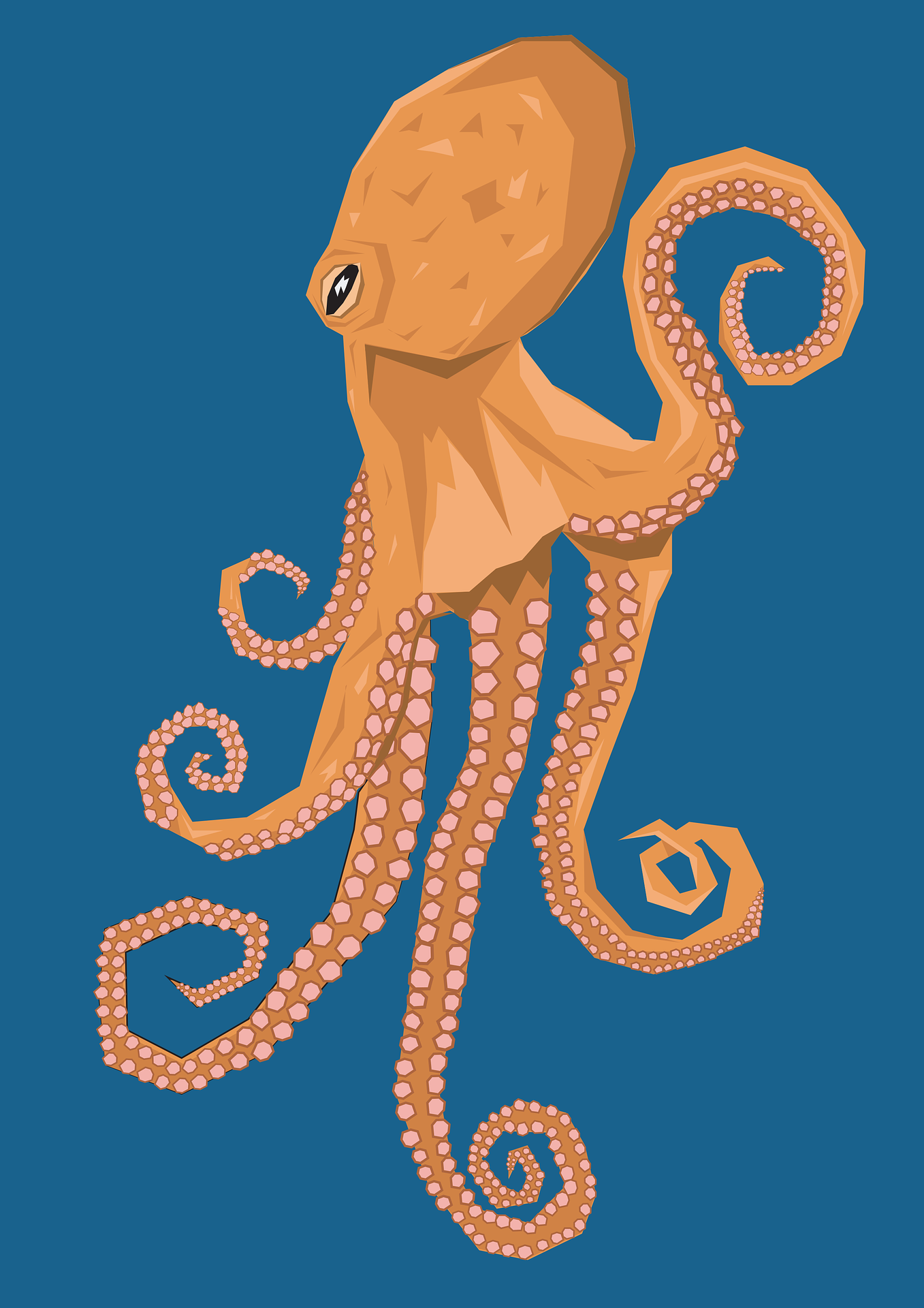 this is a picture of an octopus