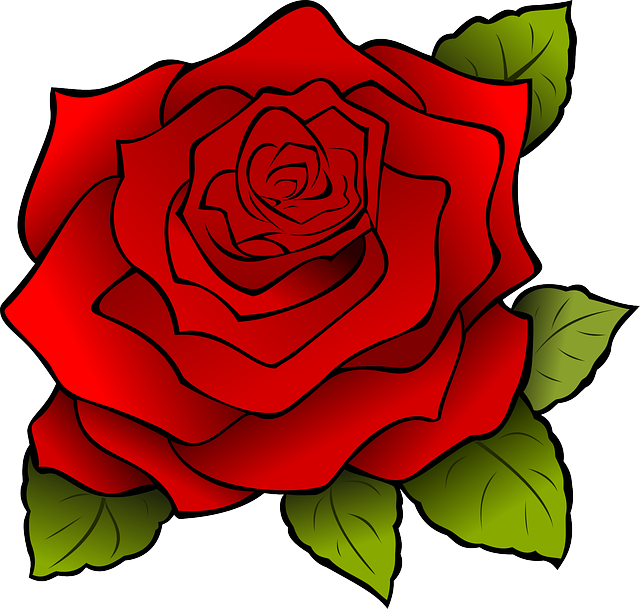 this is a picture of a rose