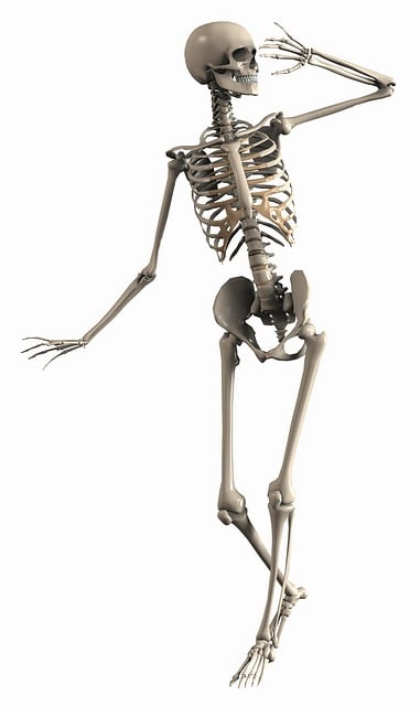 This is a skeleton