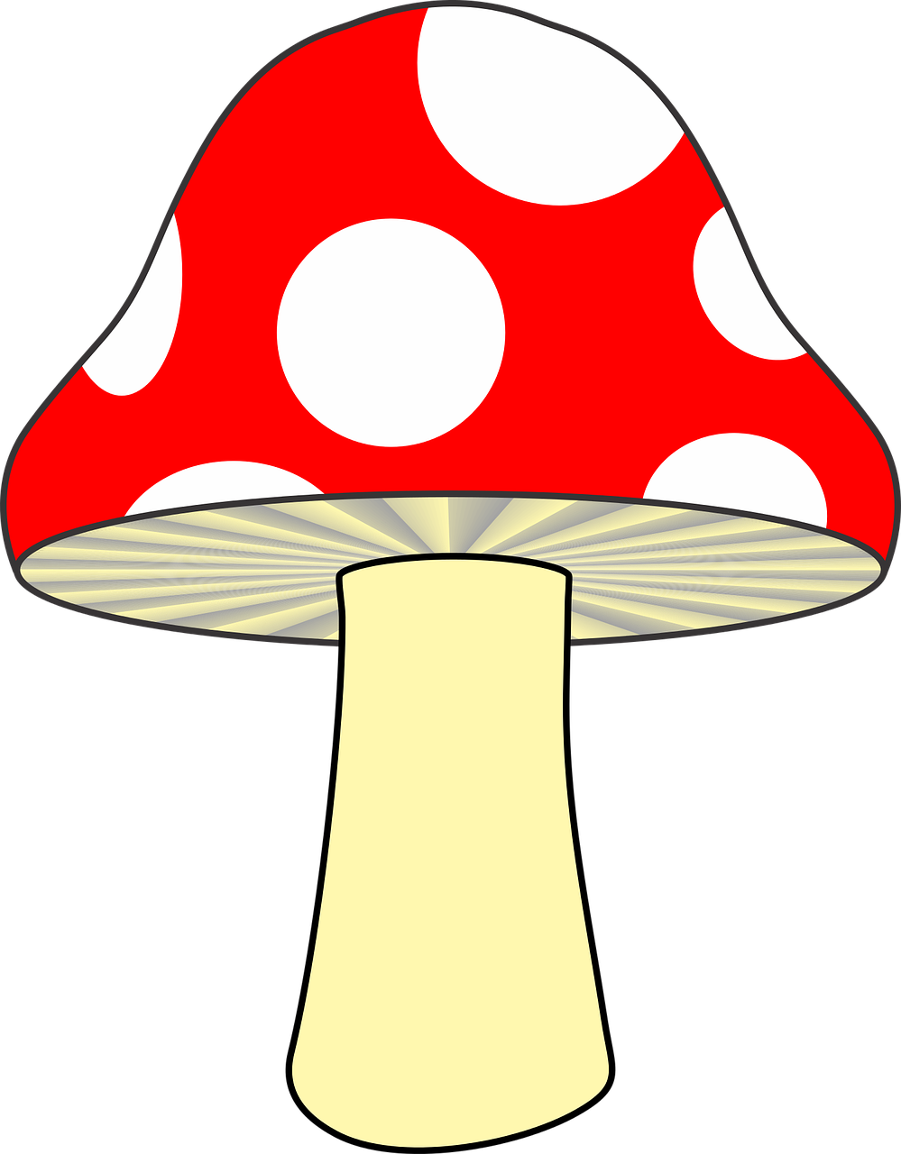 this is a mushroom