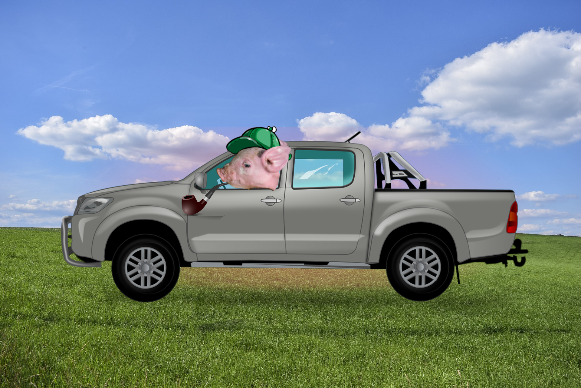 Pig Driving a Pickup Truck