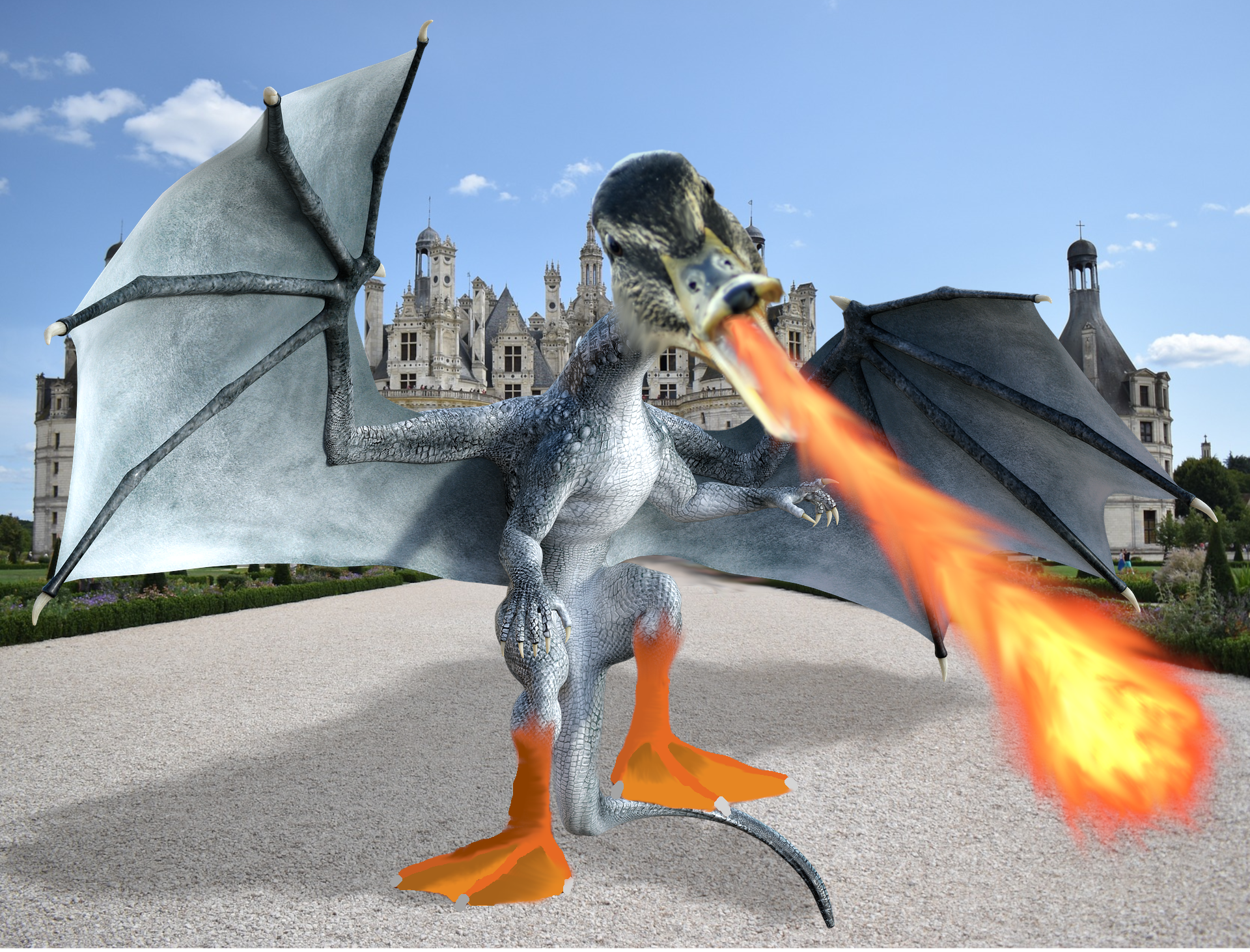 picture of a duck and dragon