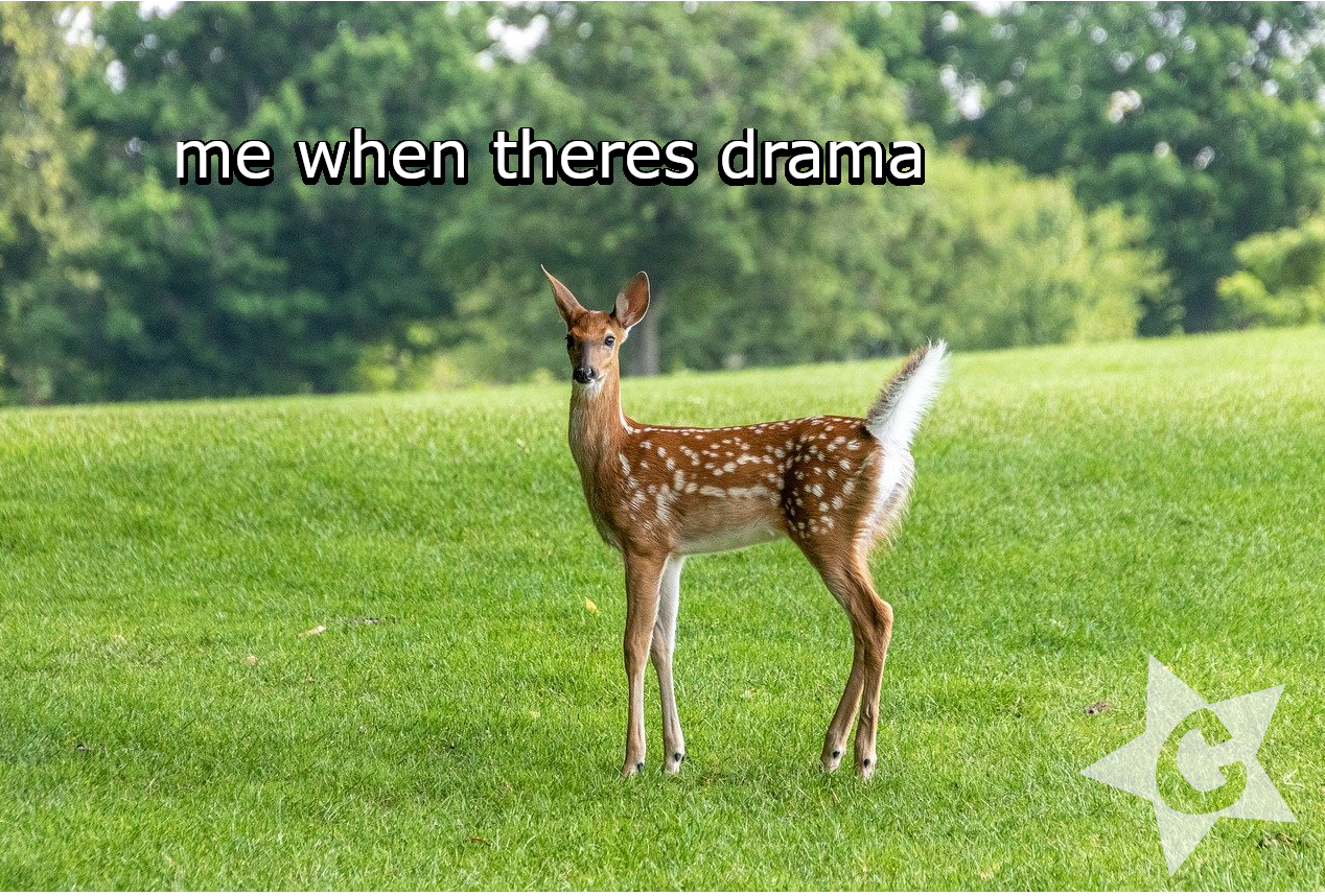 deer