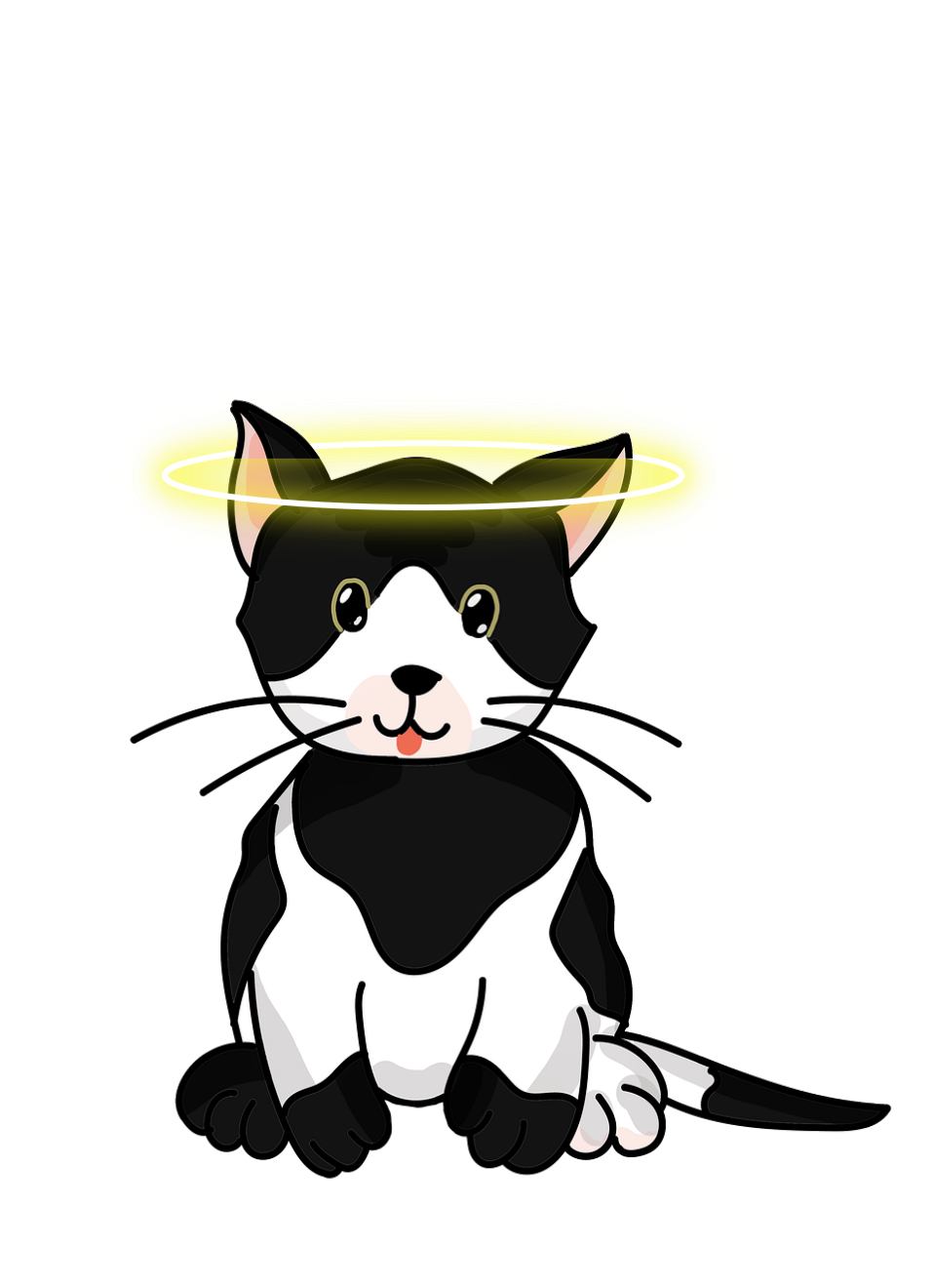 angel cat girl, age:12