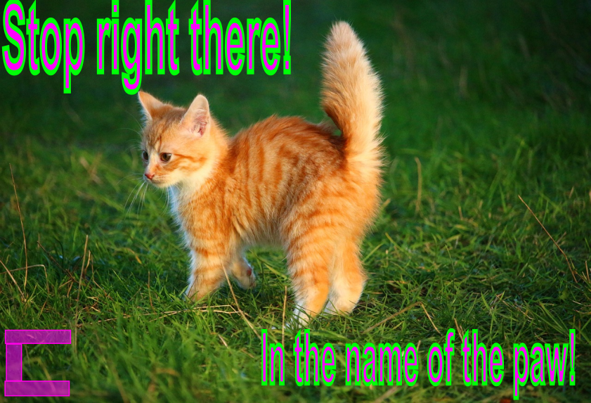 meme of kitten in a puff