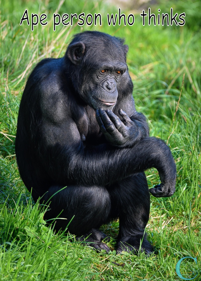thinking money