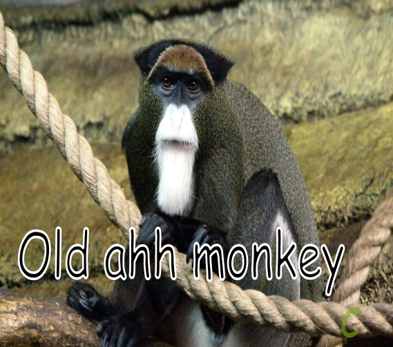 goofy old monkey meme