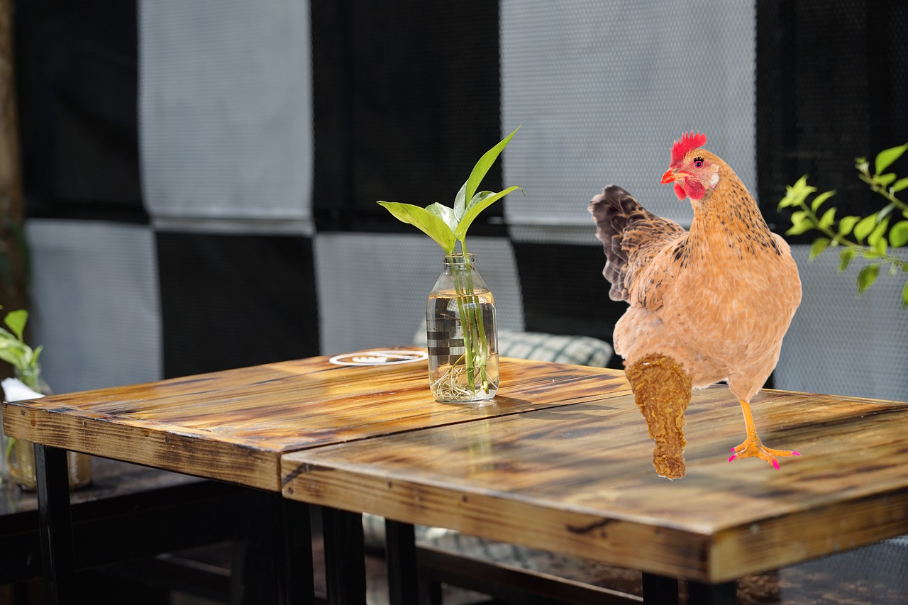 Beautiful chicken