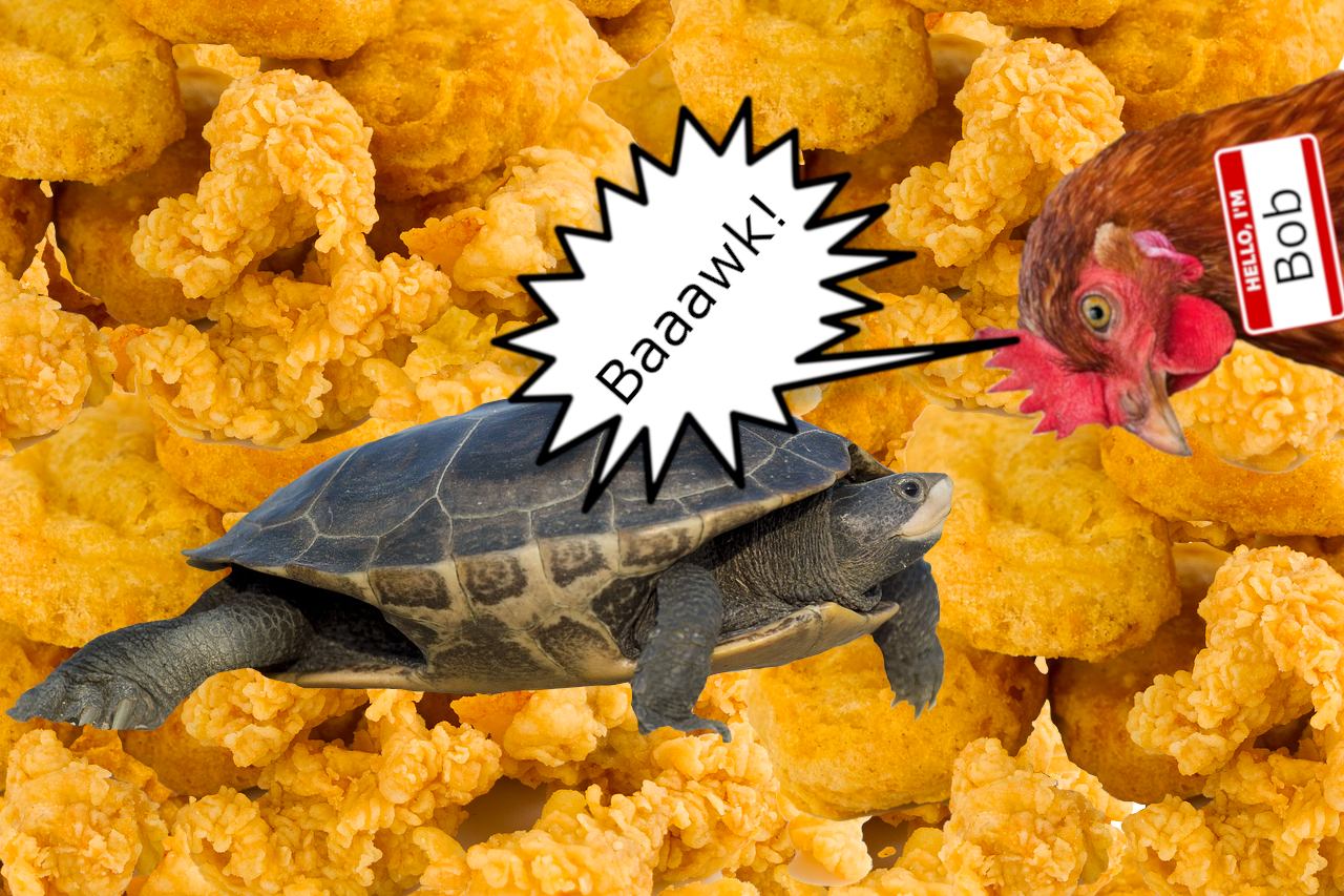 turtleandchicken