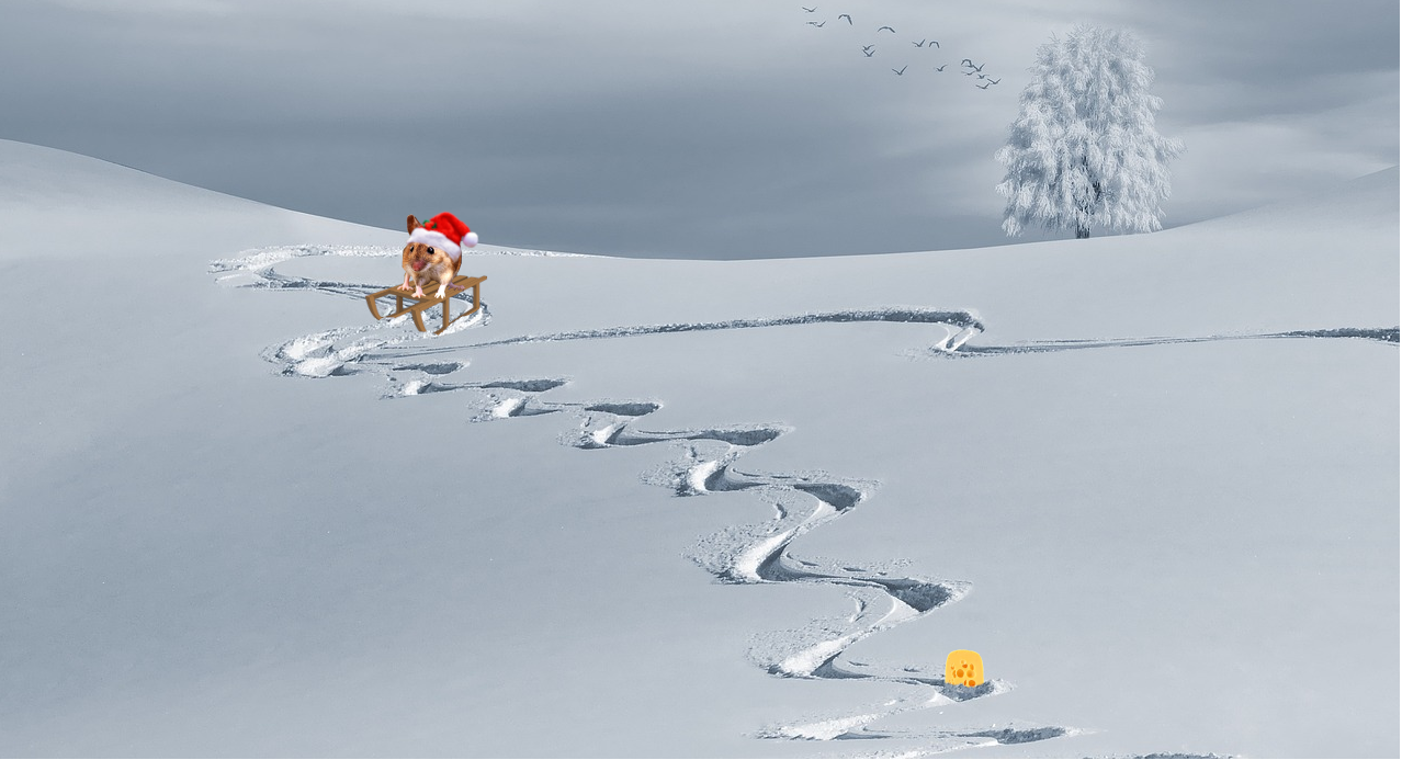 Mouse sledding for cheese