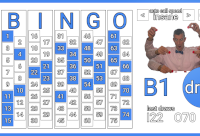 image link to bingo caller app